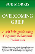 Book cover for Overcoming Grief