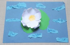 Water Lily Craft