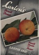 Laxton's Fruit Trees, Small Fruits and Roses Catalogue