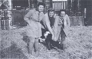 Doreen Kempster, Marion Ellison and Joyce Irving with calf