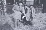 Three girls and a calf - Doreen Kempster, Marion Ellison, Joyce Irving