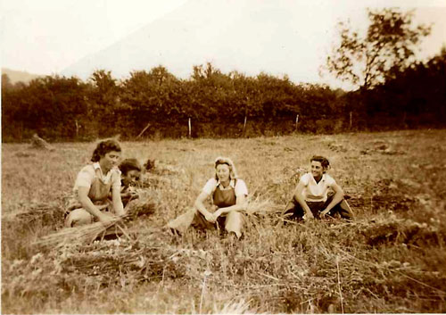 Molly and Nancy Joan Gage in a field with other land girls