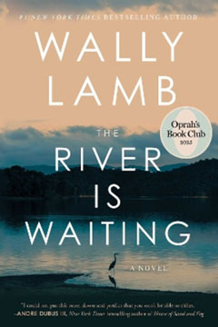 Book cover for The River is Waiting by Wally Lamb