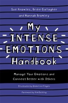 My Intense Emotions Handbook by Bridie Gallagher