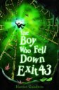 Boy Who Fell Down Exit 43
