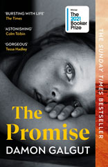 Book jacket for The Promise by Damon Galgut