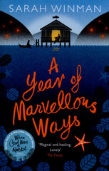 Book cover of A Year of Marvellous Ways