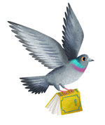 Bird flying with a book