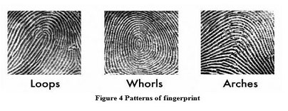 Three fingerprint types