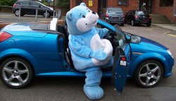 bookstart bear arrives in his car at the library