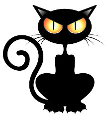 black cat