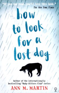 How to Look for a Lost Dog by Ann M Martin