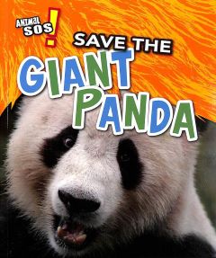 Save the Giant Panda
