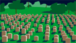 war graves