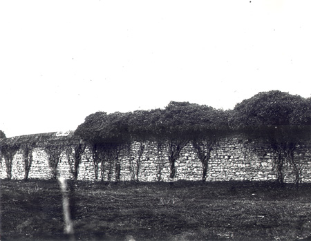 Remains of Newnham Priory boundary wall, Bedford