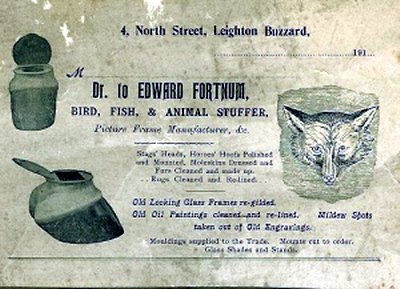 Advertisement for Fortnum's of North Street Taxidermist and picture framer.