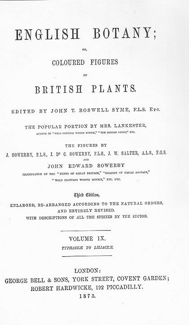 English botany