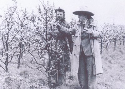 Cockayne Hatley Orchard