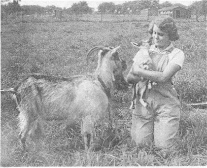Dorothy Hurren at Chawston Manor Farm, 1942
