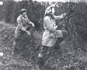 Hedging in north Bedfordshire