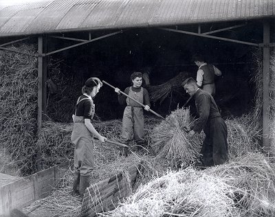 Pamela Edgeworth (centre) with fellow workers at Lower Dean Farm
