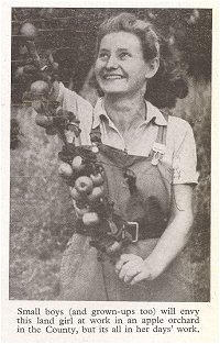 Many Bedfordshire land girls worked for market gardeners.