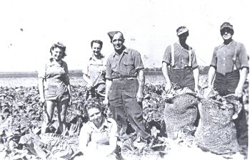 German POWs (right) with Bolnhurst hostel Land Girls and Pioneer Corps guard at Fred Tear's farm in Potton