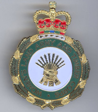 Veteran's Badge