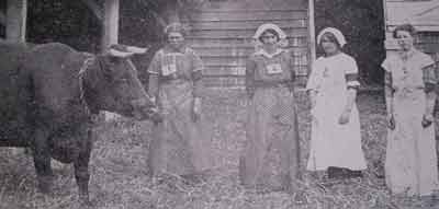 Milkmaids demonstrating milking at Mr Chibnall's Homestead, Biddenham, June 1916