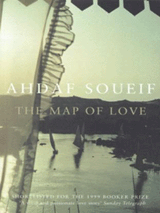 Book jacket for The Map of Love