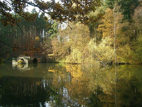 The Lake at Stockgrove by Tony Spinks, 2007