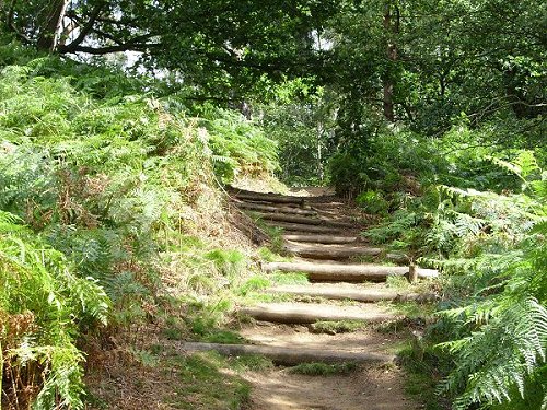 Sunny Sandy Steps by Emily Farrell,  2007