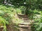 Sunny Sandy Steps by Emily Farell