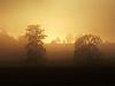 Sunrise over fields and trees