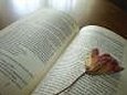 Open book and flower