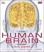 The human brain