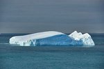 Iceberg