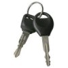 A set of car keys