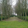 Tree Cathedral