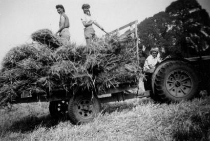 Bolnhurst land girld loading sheaves on to cart