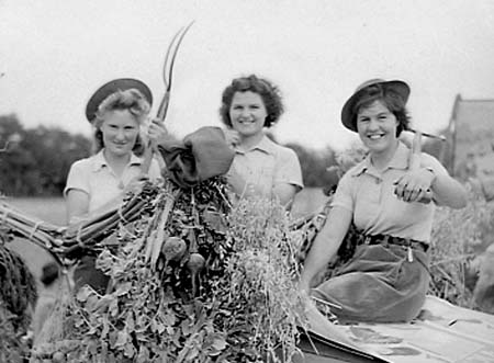 Farming Sunday, Bedford - July 1943