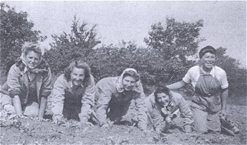 Milton Ernest Hostel girls getting down to the job