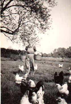 Florence Brasier collecting eggs