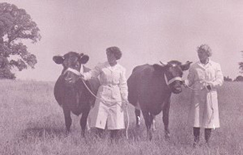 Edna Milton and 'Northey Dewdrop Queen', Daphne Ives with 'Linwood Elspeth'