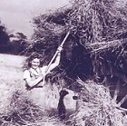 Luton Hoo Haymaking