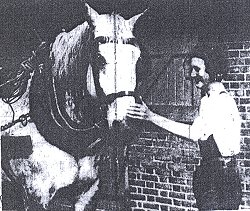 The first Land Girl in the Luton district