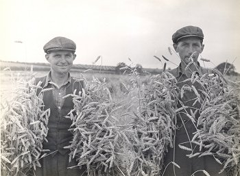 Many land girls married farmers or farm workers.