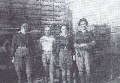 Staploe land girls