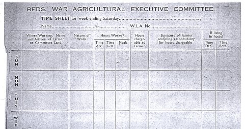 Timesheet